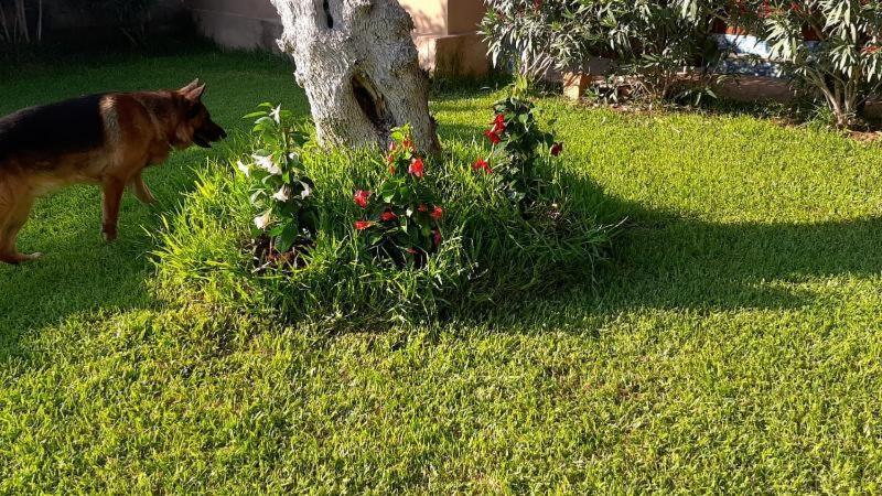 Villa Girasole Monteroni di Lecce Eksteriør bilde